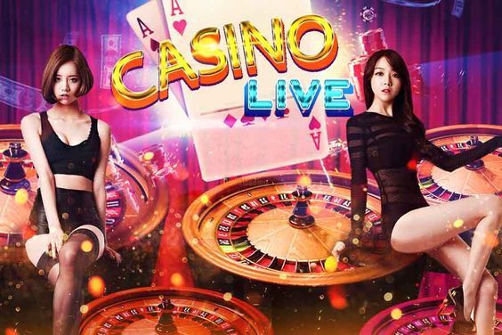 MSport Live Casino